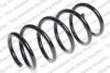 ROC CS7620 Coil Spring